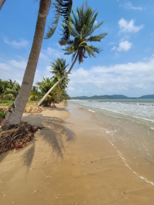 ที่ดิน ขาย ติดทะเลชุมพรใกล้แหล่งท่องเที่ยว หาดส่วนตัวอ่าวทุ่งมะขาม ที่ดินติดทะเลชุมพร-หาดขาวสะอาด เหมาะทำโรงแรม รีสอร์ท